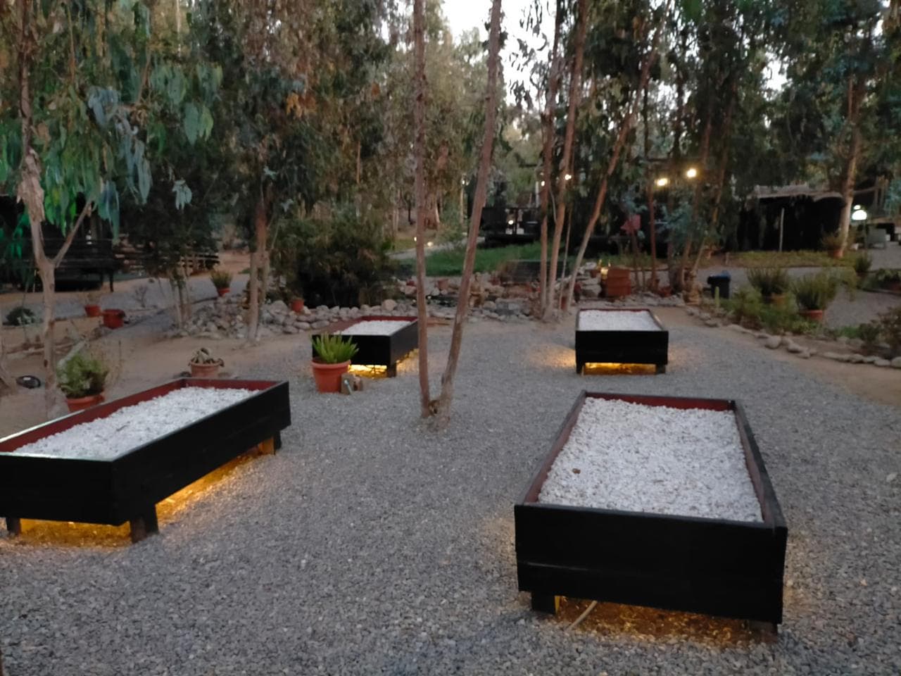 Fotografía 4 de Bosques de San José