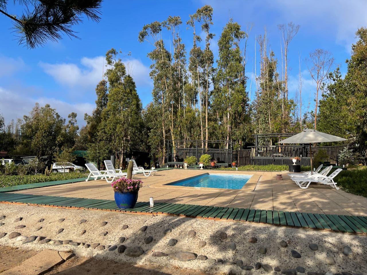 Fotografía 10 de Bosques de San José