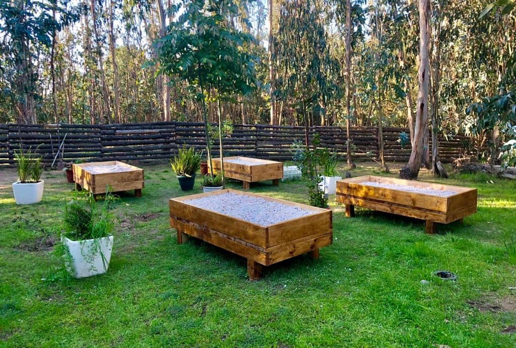 Camas de cuarzo de Bosques de San José